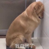 皮卡皮卡不讲话