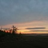 望雩