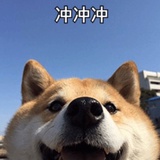 发发
