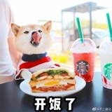 无人区孤狼