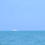 shajshaj
