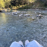 log