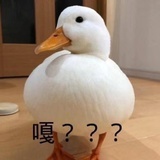 坚强的豌豆射手