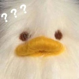 点tt