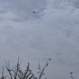 滚滚长江东逝水