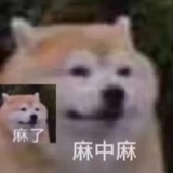 活得不如摩尔