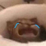 什么答案
