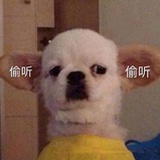 牙线大王