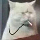 旺崽馒头