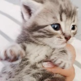 Amazing Zoe🕊จุ๊