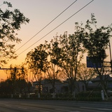 subrosa