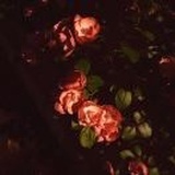 静静