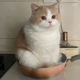 荔枝和三七