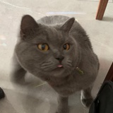 我可以改昵称吗