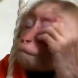 niqvzhvb