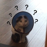 大雄