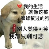 哄哄