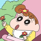 野原向日葵