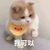 牛排八成熟