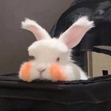 绝不会失学
