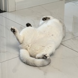 屁话汤