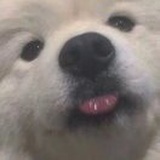 江涌的破壁人