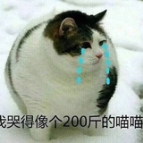 虫虫