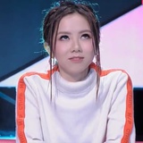 轻燕掠影