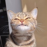 不将就.