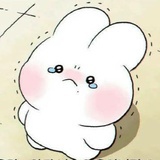 (*•̀ᴗ•́*)و̑̑