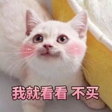 哎哟哎呦喂