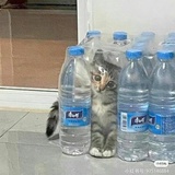 つ