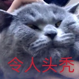 啦啦啦种太阳