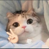 猎户星云