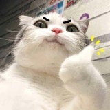 路陌