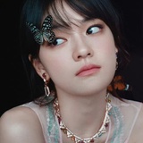 狗狗大改造
