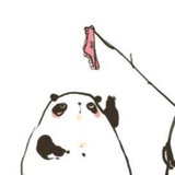 还能再说些什么