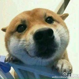 大王快去学习