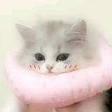 一一