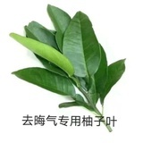 每天都很善意