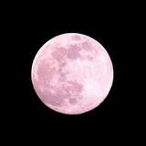 晚星