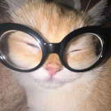 Cheenly_