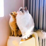 瞎看看瞎听听