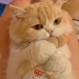 好好学习