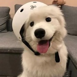 那就这样吧