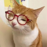 呀咪咪