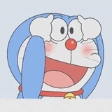 ʕ •ᴥ•ʔ