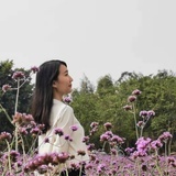 觉晓