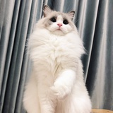 舞月汐