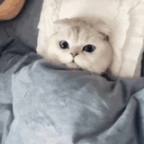 长驱六举